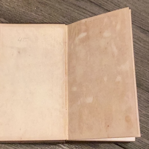 Unique antiquarian book on infidelity The Cause and Cure of Infidelity C. 1841 - Picture 4 of 14